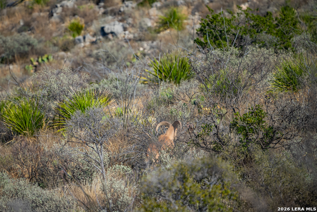 Image 28 of 37 For 000 Pandale Hwy