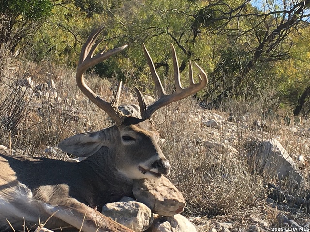 Image 29 of 37 For 000 Pandale Hwy