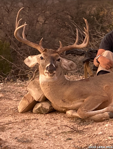 Image 30 of 37 For 000 Pandale Hwy