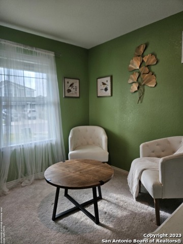 Image 21 of 35 For 535 Wild Olive Way