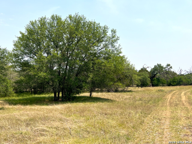 Listing photo id 12 for 1220 Flying T Ranch