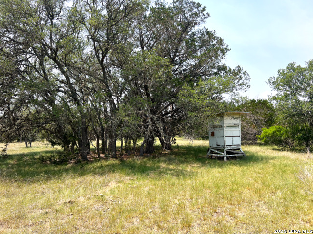 Listing photo id 15 for 1220 Flying T Ranch