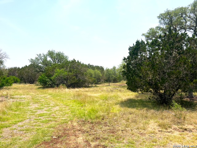 Listing photo id 21 for 1220 Flying T Ranch