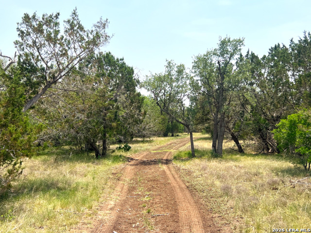 Listing photo id 2 for 1220 Flying T Ranch