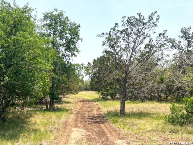 Listing photo id 6 for 1220 Flying T Ranch