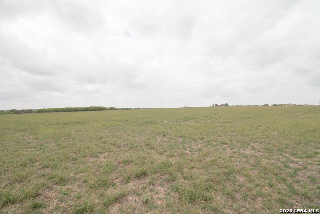 Image 2 of 11 For 70 +-- Acres Ih 10