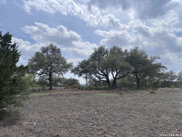 Details for 318 Serenity Pass, Spring Branch, TX 78070