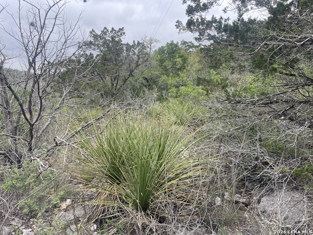 Image 11 of 14 For 0000 County Road 243