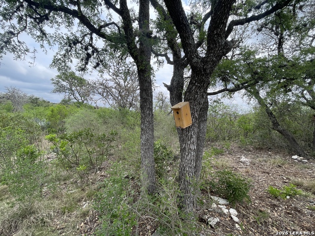 Listing photo id 10 for 000 Private Road 2410