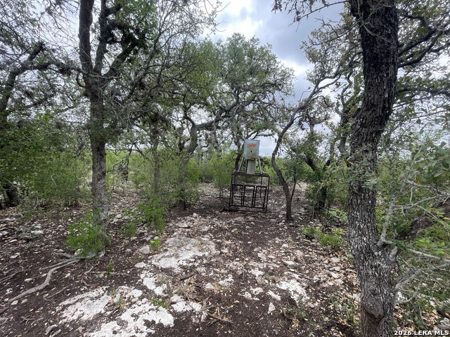 Listing photo id 12 for 000 Private Road 2410