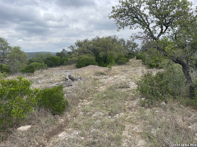 Listing photo id 19 for 000 Private Road 2410
