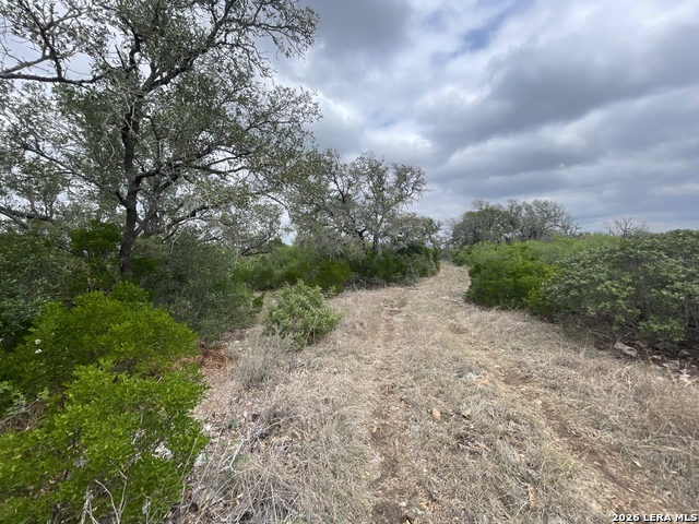 Listing photo id 20 for 000 Private Road 2410