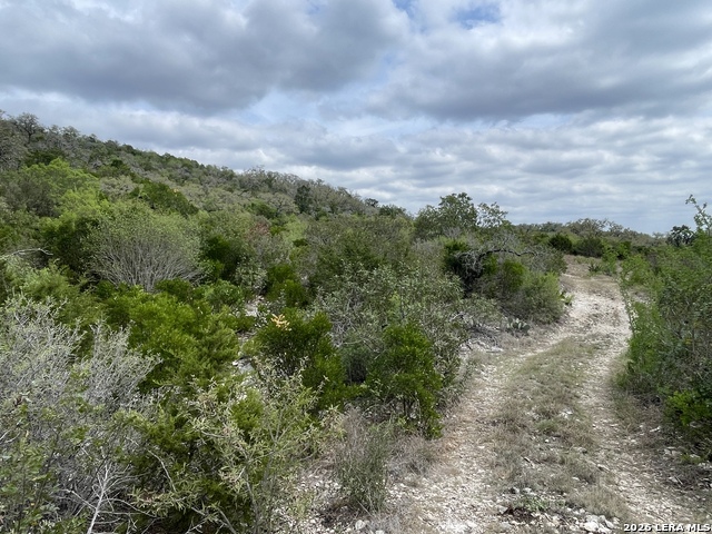 Listing photo id 22 for 000 Private Road 2410