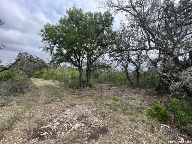 Listing photo id 2 for 000 Private Road 2410
