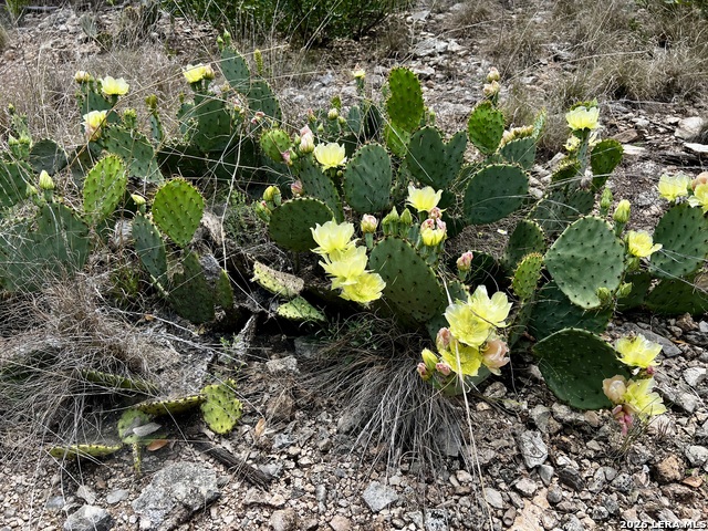 Image 6 of 8 For 16 Cedar Ridge