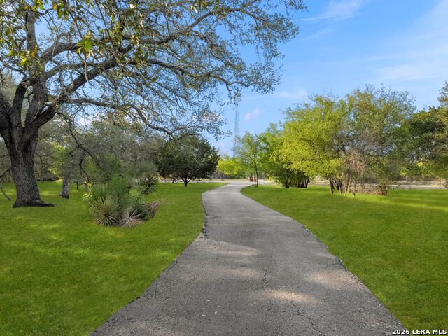 Image 62 of 90 For 15110 Tamaron