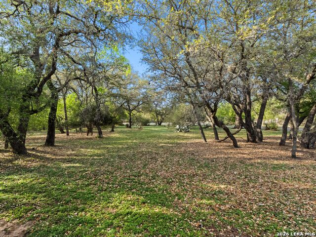 Image 78 of 90 For 15110 Tamaron