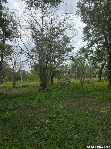 Image 2 of 31 For 2320 Chavaneaux