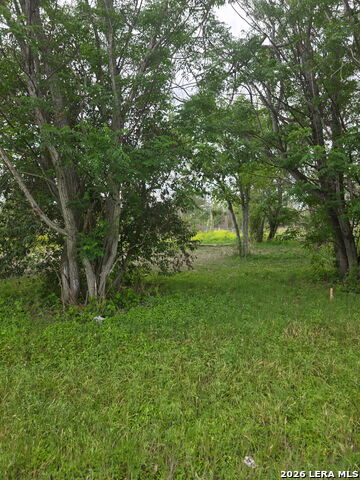 Image 6 of 31 For 2320 Chavaneaux