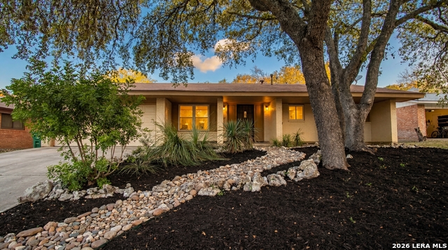 Details for 11011 Burr Oak, San Antonio, TX 78230