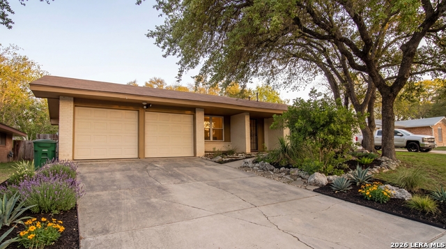 Image 2 of 30 For 11011 Burr Oak