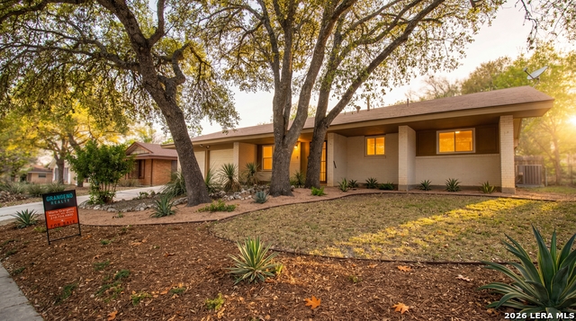 Image 4 of 30 For 11011 Burr Oak