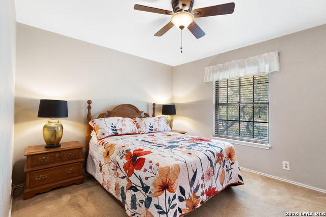 Image 24 of 37 For 2515 Blue Quail