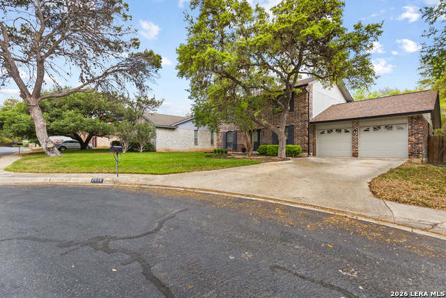 Image 3 of 37 For 2515 Blue Quail