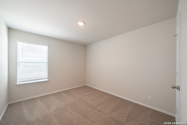 Image 10 of 20 For 108 Little Owl