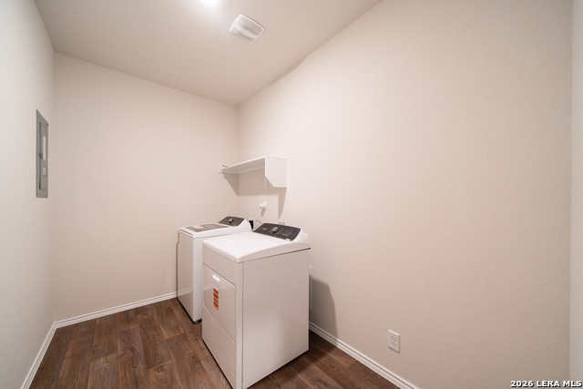 Image 15 of 20 For 108 Little Owl