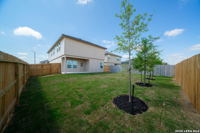 Image 19 of 20 For 108 Little Owl