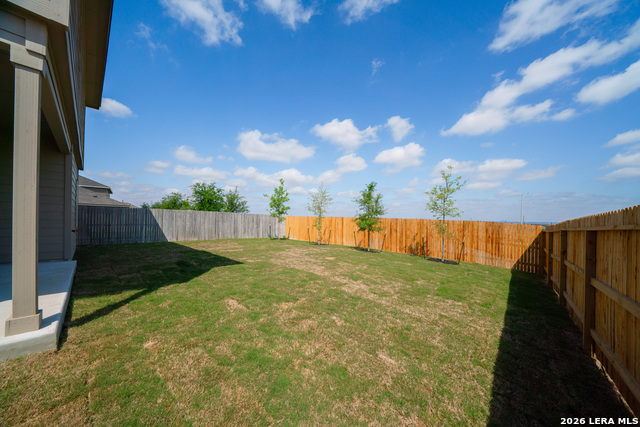 Image 20 of 20 For 108 Little Owl