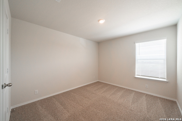 Image 9 of 20 For 108 Little Owl