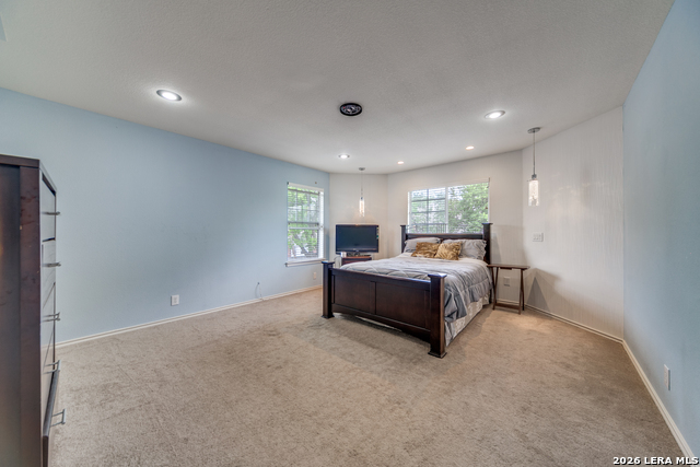 Image 20 of 33 For 2519 Ox Eye  