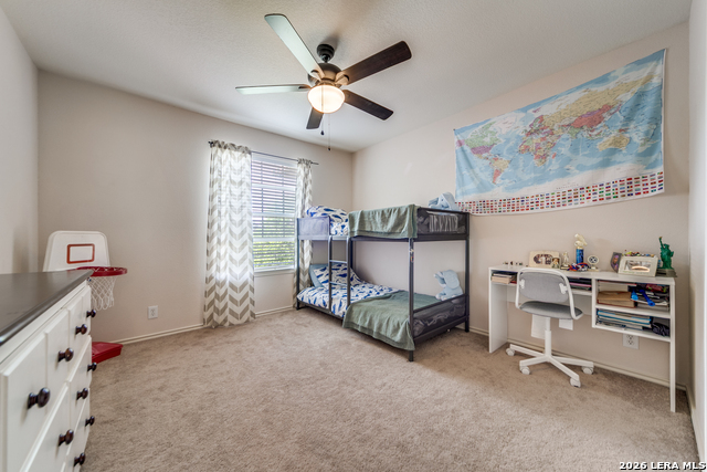 Image 23 of 33 For 2519 Ox Eye  