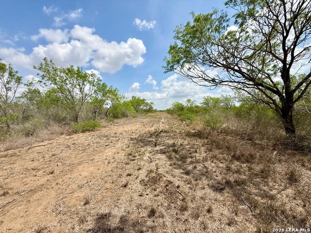 Details for Lot 4 Fm 1332, Jourdanton, TX 78026