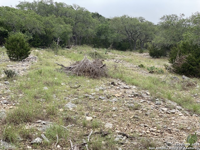 Image 3 of 4 For 3726 Morris Lynn