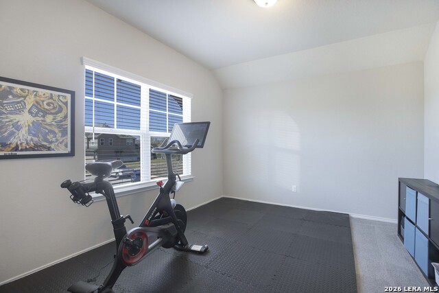 Image 28 of 37 For 11638 Chalk Stem