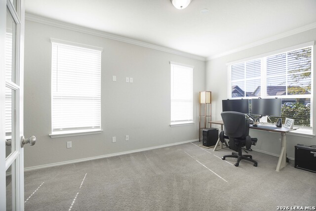 Image 6 of 37 For 11638 Chalk Stem