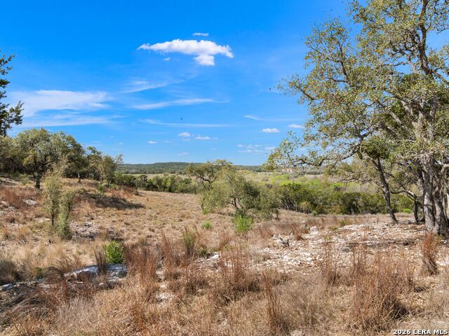 Image 18 of 45 For 2042 Paradise Pkwy