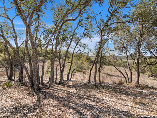 Image 19 of 45 For 2042 Paradise Pkwy