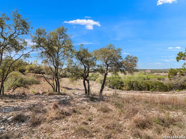 Image 20 of 45 For 2042 Paradise Pkwy