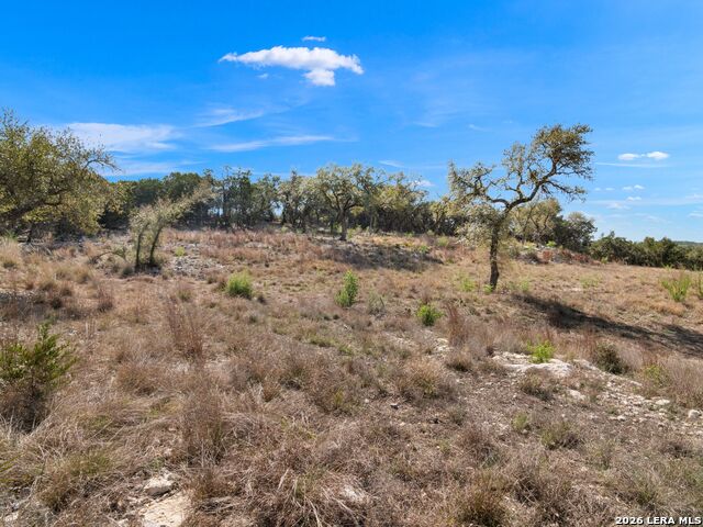 Image 21 of 45 For 2042 Paradise Pkwy