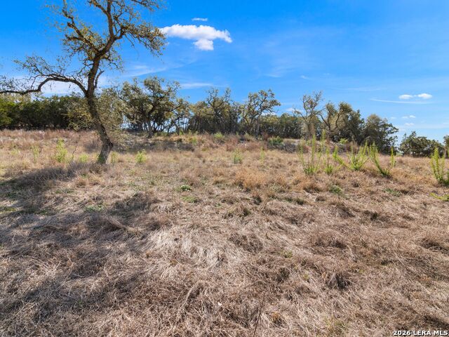 Image 24 of 45 For 2042 Paradise Pkwy