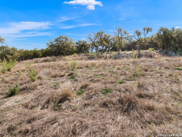 Image 25 of 45 For 2042 Paradise Pkwy