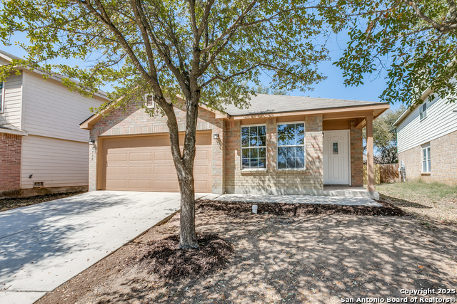 Image 2 of 25 For 8535 Silver Brush