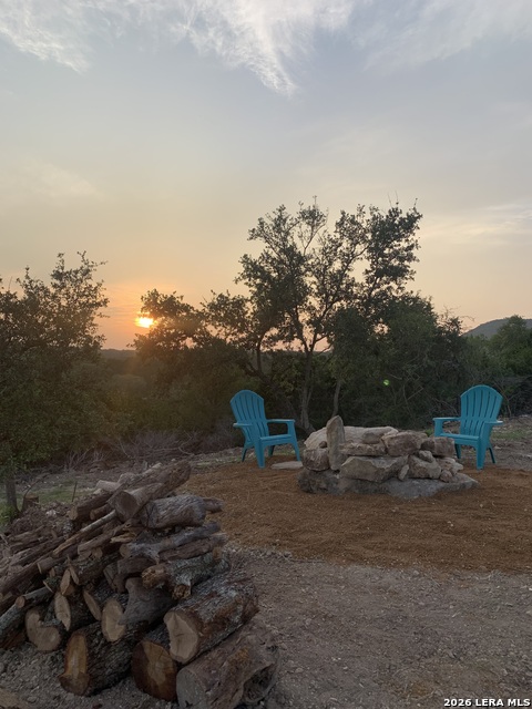 Image 31 of 31 For 693 Snake  