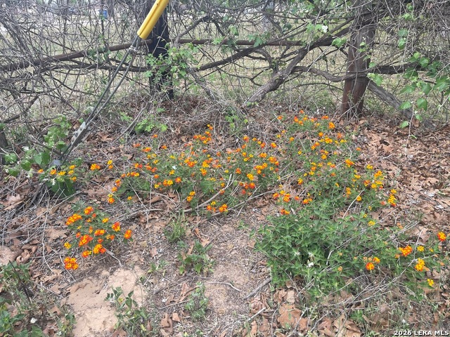 Image 38 of 51 For 135 Pullman  