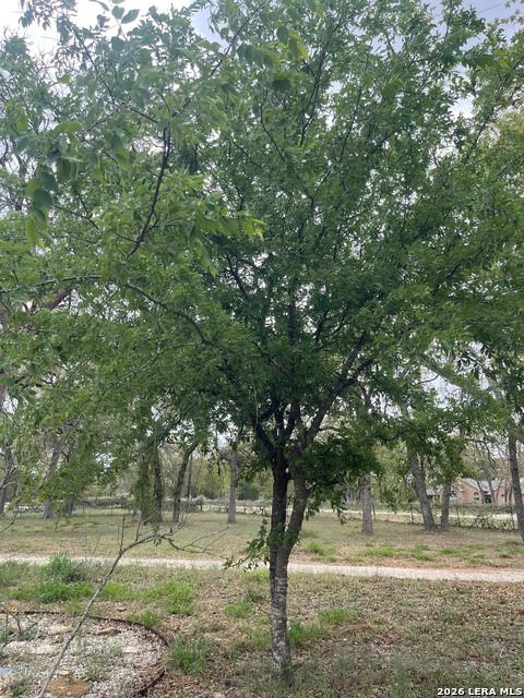 Image 39 of 51 For 135 Pullman  