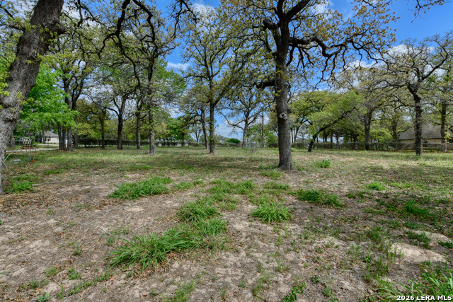 Image 4 of 51 For 135 Pullman  